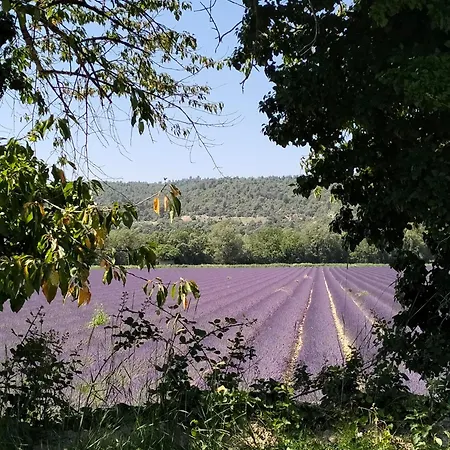 La Provence Vous Attend***!!! - 1er étage