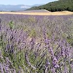 La Provence Vous Attend***!!! - 1er Etage Апартаменты