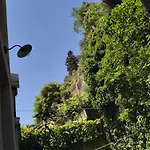 Апартаменты La Provence Vous Attend***!!! - 1er Etage *