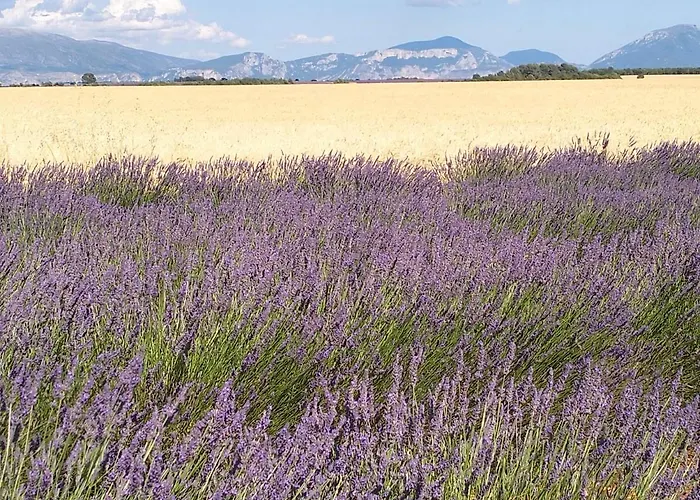 La Provence Vous Attend***!!! - 1er Etage *