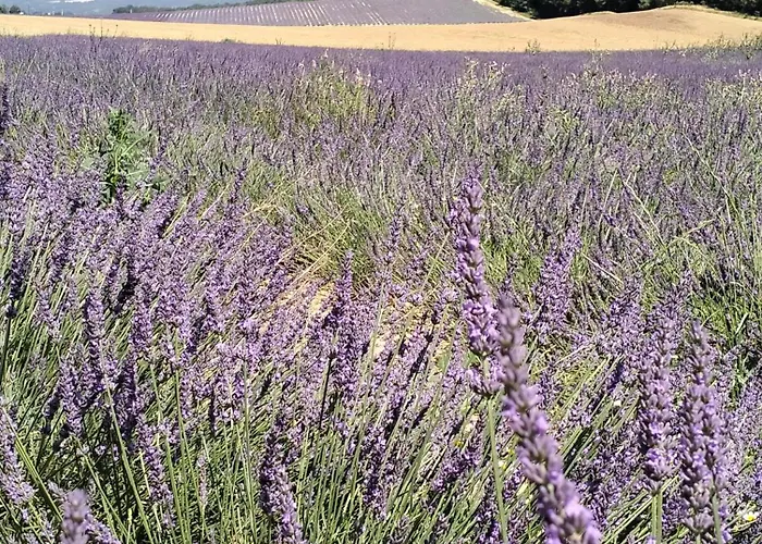 La Provence Vous Attend***!!! - 1er Etage Lejlighed